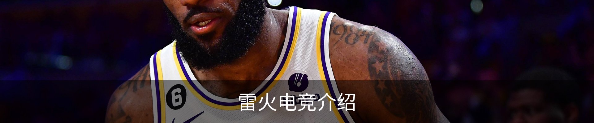 雷火电竞介绍